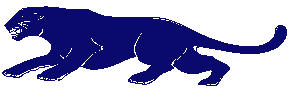 Panther 